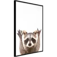 Artgeist Funny Racoon juliste