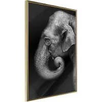 Artgeist Wisdom juliste