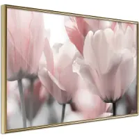 Artgeist Pastel Tulips Ii juliste