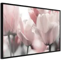 Artgeist Pastel Tulips Ii juliste