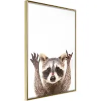Artgeist Funny Racoon juliste