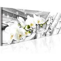 Artgeist Twisted Orchids taulu