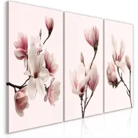 Artgeist Spring Magnolias taulusetti