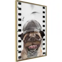 Artgeist Dressed Up Pug juliste