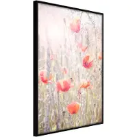 Artgeist Poppies juliste