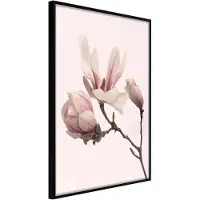 Artgeist Blooming Magnolias Ii juliste