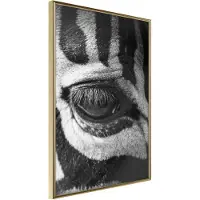 Artgeist Zebra Is Watching You juliste