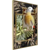Artgeist Composition With Gold Parrot juliste