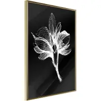 Artgeist White Plant juliste
