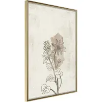 Artgeist Life Of Plants juliste