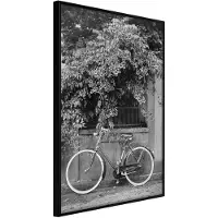 Artgeist Bicycle With White Tires juliste