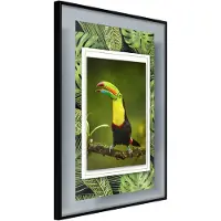 Artgeist Toucan In The Frame juliste