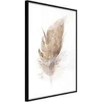 Artgeist Lost Feather (Beige) juliste