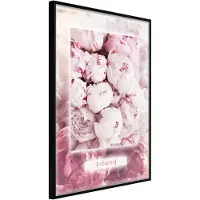 Artgeist Scent Of Peonies juliste