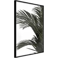 Artgeist Jungle Scent juliste