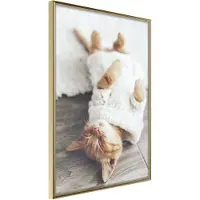 Artgeist Kitten Life juliste