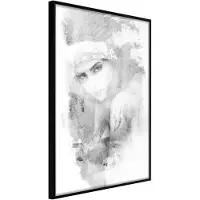 Artgeist Mysterious Look (Grey) juliste