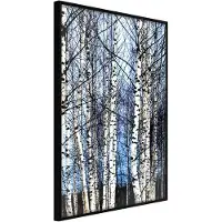 Artgeist Winter Birch Trees juliste