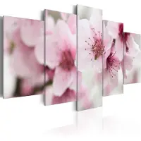 Artgeist Cherry- Gentleness And Beauty taulusetti