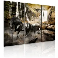 Artgeist Black Horse And Rocky Waterfall taulusetti