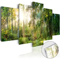 Artgeist Green Sanctuary akryylilasitaulusetti