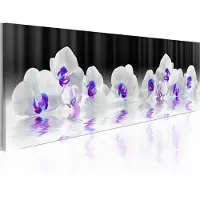 Artgeist Water Orchids taulu