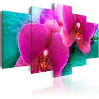 Artgeist Exotic Orchids taulusetti