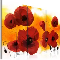 Artgeist Sunny Afternoon And Poppies taulusetti