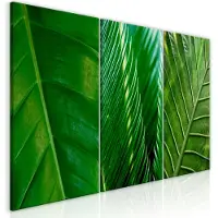 Artgeist Leaves (Collection) taulusetti