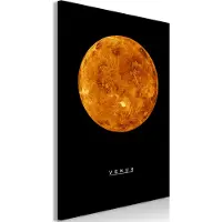 Artgeist Venus taulu