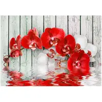 Artgeist Ruby Orchid fototapetti
