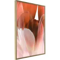 Artgeist Tulip Petals juliste