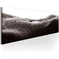 Artgeist Erotic Landscape taulu