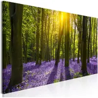 Artgeist Hyacinth Field Narrow taulu