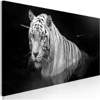 Artgeist Shining Tiger Black And White Narrow taulu