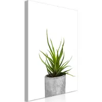 Artgeist Haworthia Vertical taulu