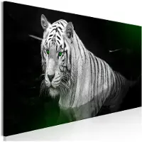 Artgeist Shining Tiger Green Narrow taulu