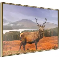 Artgeist Majestic Deer juliste