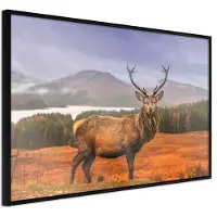 Artgeist Majestic Deer juliste