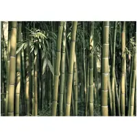 Kärkkäinen Artgeist Bamboo Exotic fototapetti