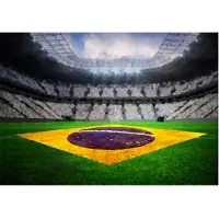 Artgeist Brazilian Stadium fototapetti