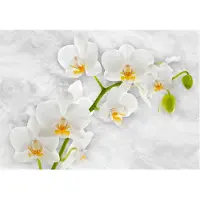 Artgeist Lyrical Orchid - White fototapetti