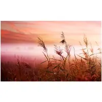Artgeist Aamu niitty fototapetti