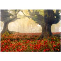 Artgeist Morning Among Poppies fototapetti