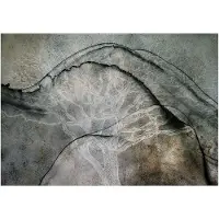 Artgeist Alphabet of Trees fototapetti