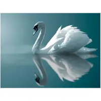 Artgeist White Swan fototapetti