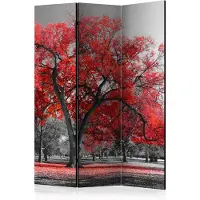 Artgeist Autumn in the Park [Room Dividers] sermi