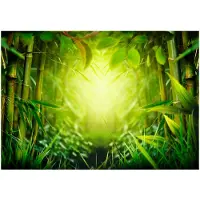 Artgeist Forest fairy itseliimautuva fototapetti