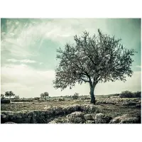 Artgeist tree - vintage fototapetti