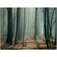 Artgeist Witches' forest fototapetti
